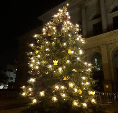 Vor dem Abgeordnetenhaus steht ein geschmckter Baum. Besonders am Heiligen Abend hat ein geschmckter Baum fr viele eine besondere Bedeutung: Er bringt Licht und erfreut das Herz. Und Freude ist das, was der Geburtstag von Jesus Christus in uns auslst: Frohe und gesegnete Weihnachten!